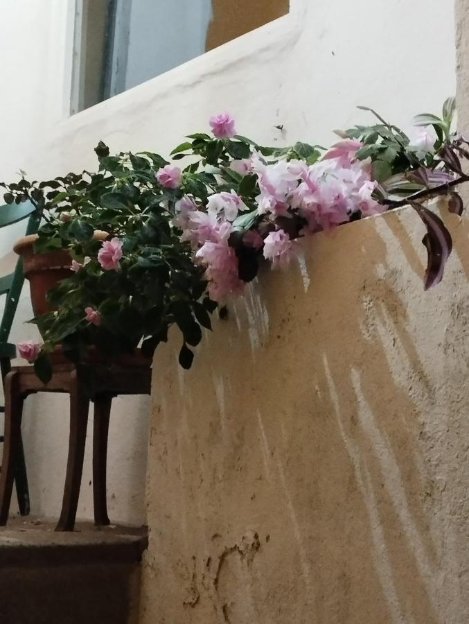 Um Quarto Da Casa Do Monte Vila Franca do Campo Exterior foto